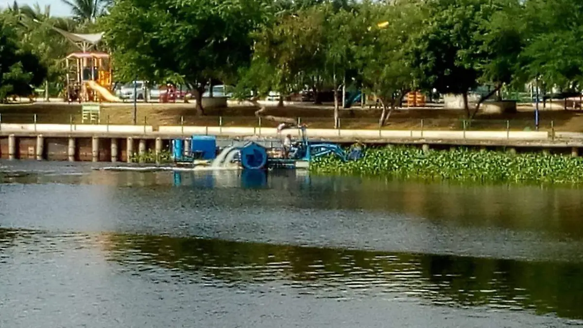 Los trabajos en el retiro del lirio acuático, los lleva a cabo personal del Ayuntamiento de Altamira